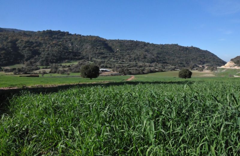 Και οι δήμοι της Αιτωλοακαρνανίας στην επιστολή Φάμελλου για τους δασικούς χάρτες