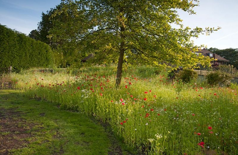 Ξεκινά το πρόγραμμα απονιτροποίησης