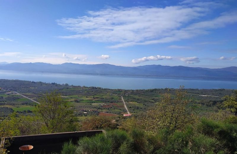 Έως 1η Ιουλίου η υποβολή αιτήσεων μεταβίβασης βασικής ενίσχυσης