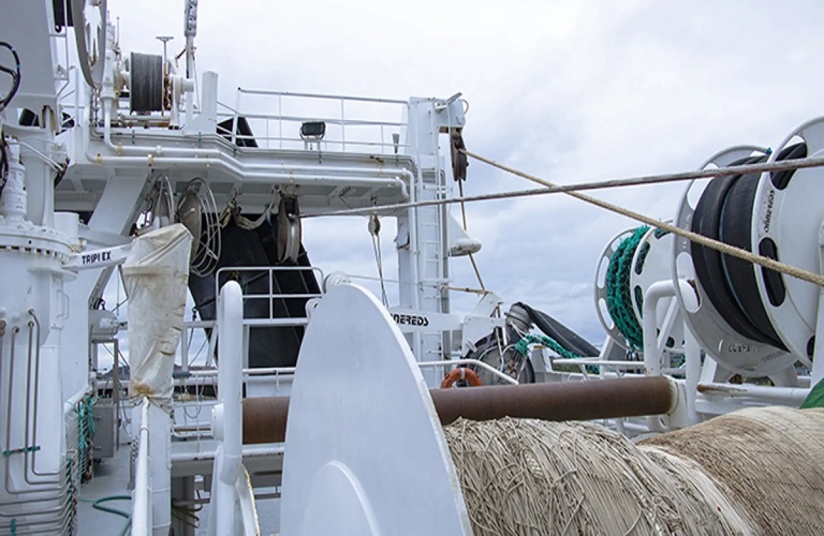 Έως 26 Ιανουαρίου οι αιτήσεις για τα de minimis κατάργησης του γρίπου