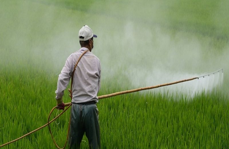 Φυτοφάρμακα: Τι πρέπει να γνωρίζουν όσοι ψεκάζουν για λογαριασμό τρίτων