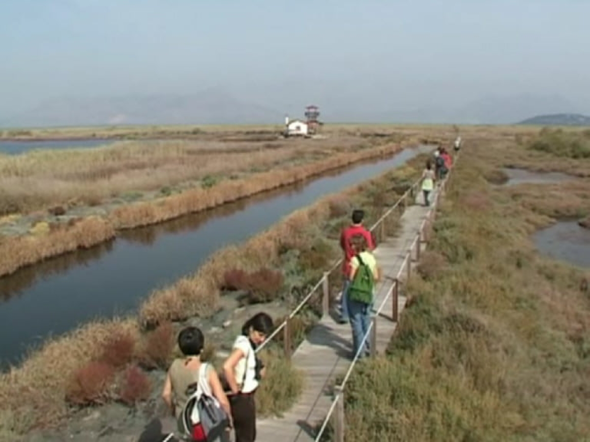 Αμβρακικός Κόλπος: Στο Κέντρο Πληροφόρησης Υγροτόπων Ροδιάς πριν 17 χρόνια (βίντεο)