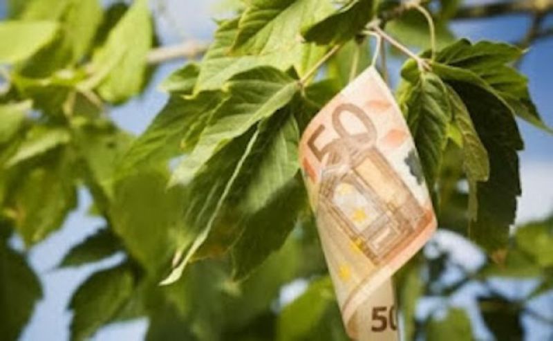 Αυτή είναι η καλλιέργεια που  προσφέρει εως 12.000 € το στρέμμα