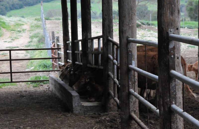 Παράταση ημερομηνιών για την υποβολή σχεδίων βελτίωσης