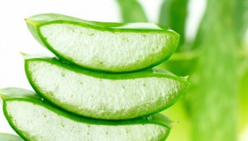 9 χρήσεις της αλόης που ίσως να μην γνωρίζετε