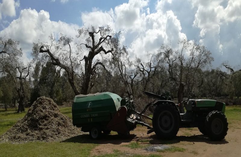 GROinLOG: νέα επιδεικτική δράση