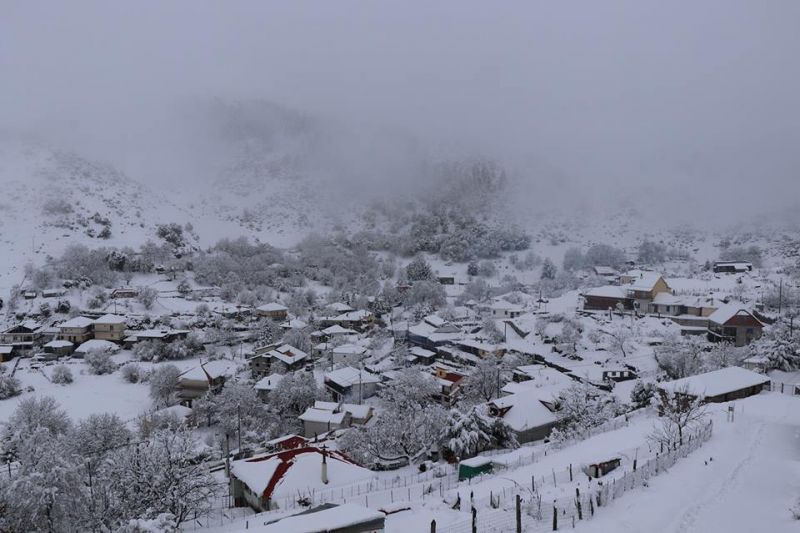 Πανέμορφο στο λευκό «πέπλο» το Περδικάκι