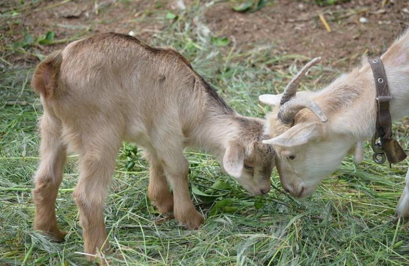 Και ο αγρότης, …τι θα κάνει;