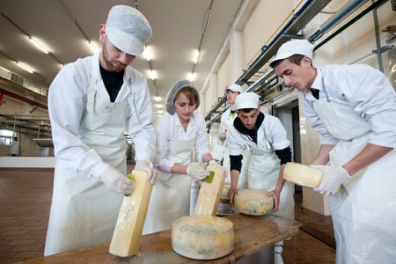 «Αναγκαία η δημιουργία ΙΕΚ γαλακτοκομίας και τυροκομίας στην Αμφιλοχία»