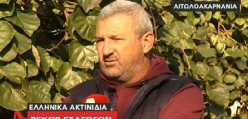 Αιτωλοακαρνανία: Κάποτε καλλιεργούσαν καπνά και τώρα ακτινίδια