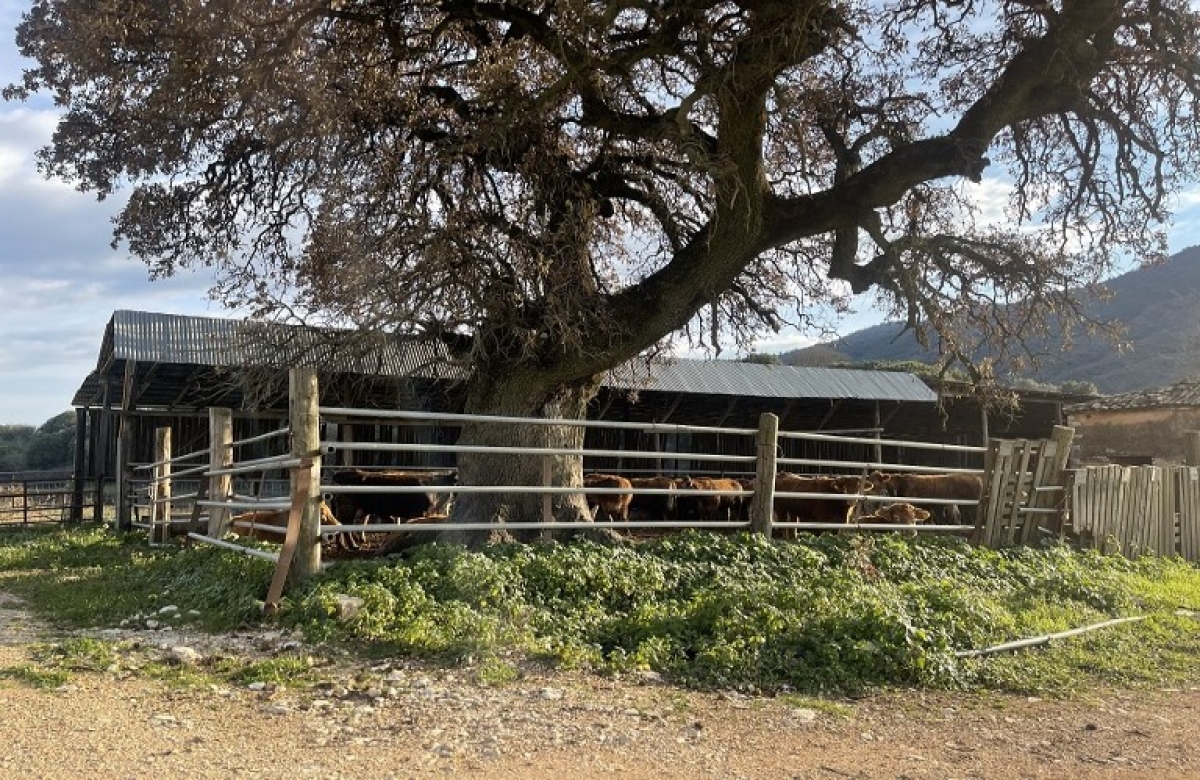 Έλληνες κτηνοτρόφοι: Η  δύναμή μας είναι οι καταναλωτές και η ποιότητα των προϊόντων μας
