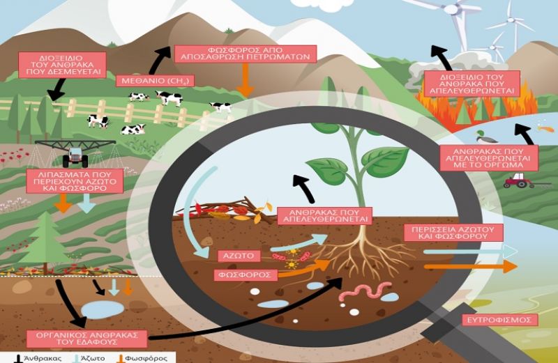 Ο κύκλος των θρεπτικών στοιχείων της φύσης