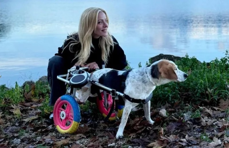 Ζέτα Μακρυπούλια: Χριστούγεννα στο χωριό της με τη Ζάννη-η ιστορία της ανάπηρης σκυλίτσας που είχαν με τον Χατζηγιάννη