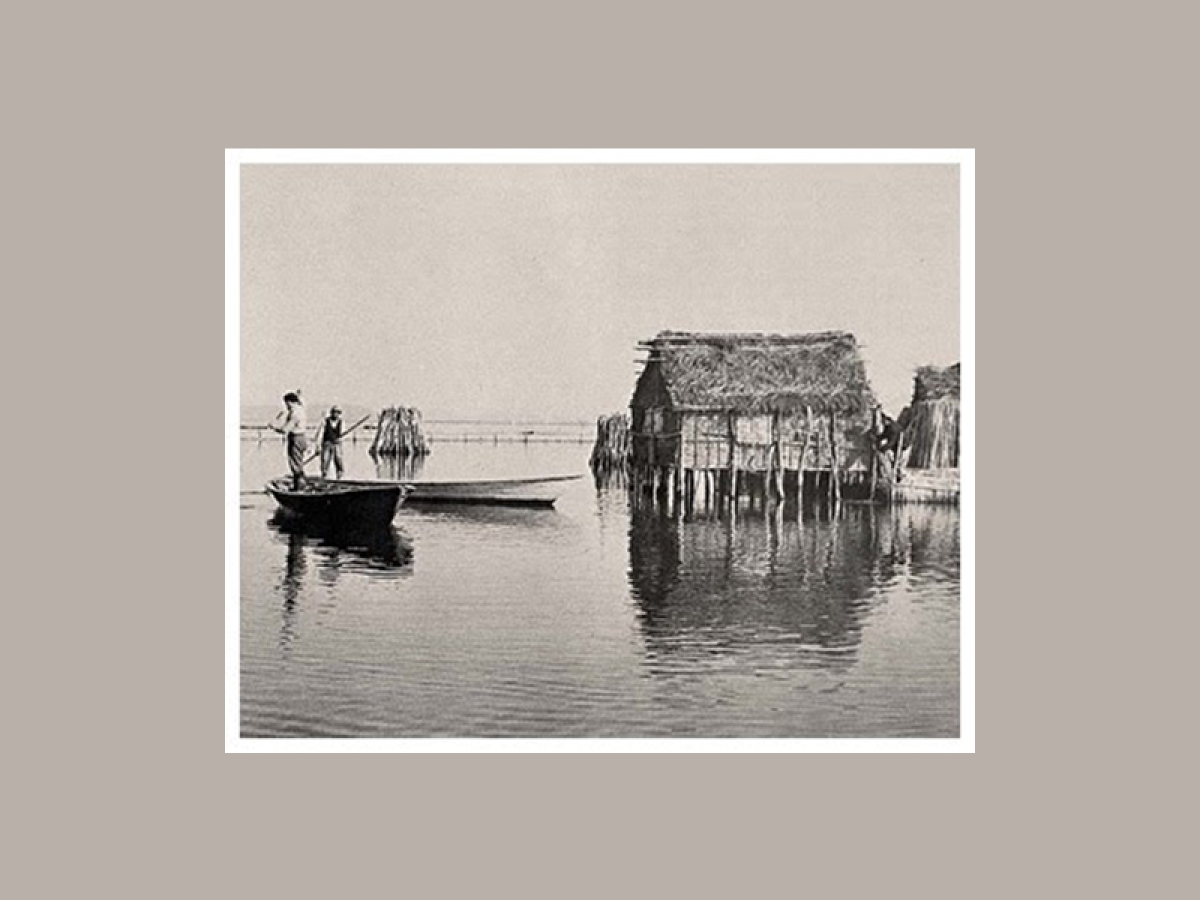 «Νέα Μεσολογγιάδα Σχολή» απο την ΔΙΕΞΟΔΟ (Πρώτη Συνάντηση Τετ 24/1/2024 19:30)