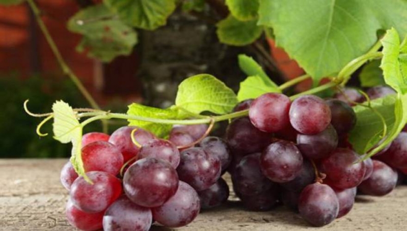 Σταφύλι και καστορέλαιο κατά των ρυτίδων