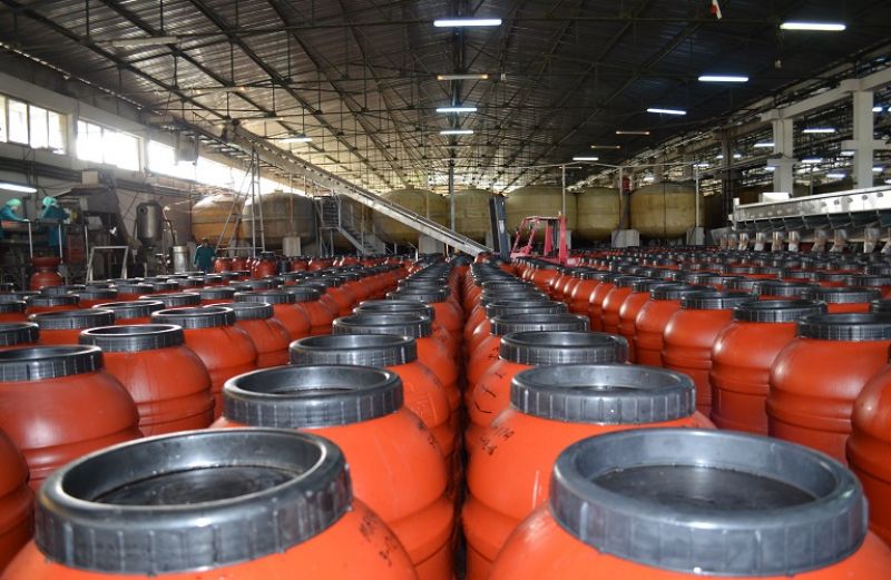 Συνεχίζεται η παραλαβή ελιών, τοις μετρητοίς και στην καλύτερη τιμή