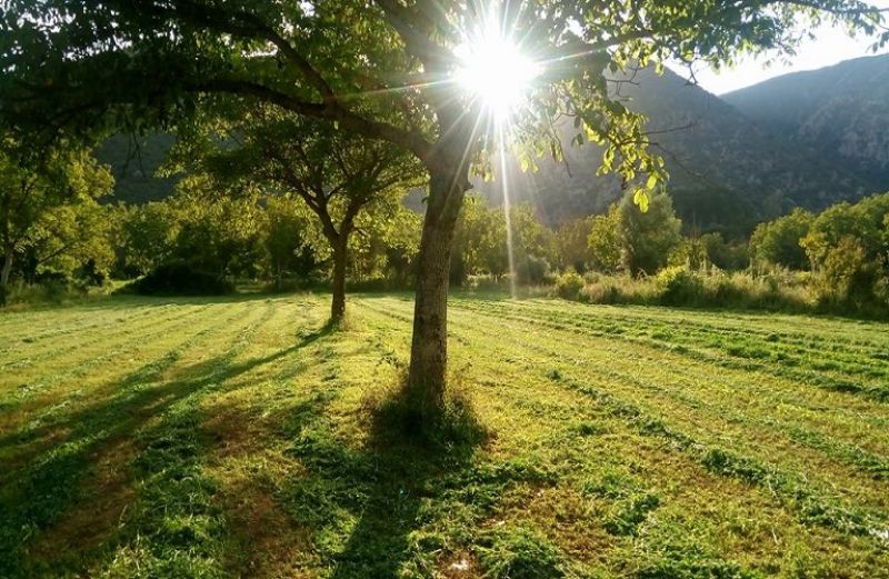 Στα σκαριά &quot;επικουρικό&quot; ταμείο και για τους νέους αυτοαπασχολούμενους – αγρότες