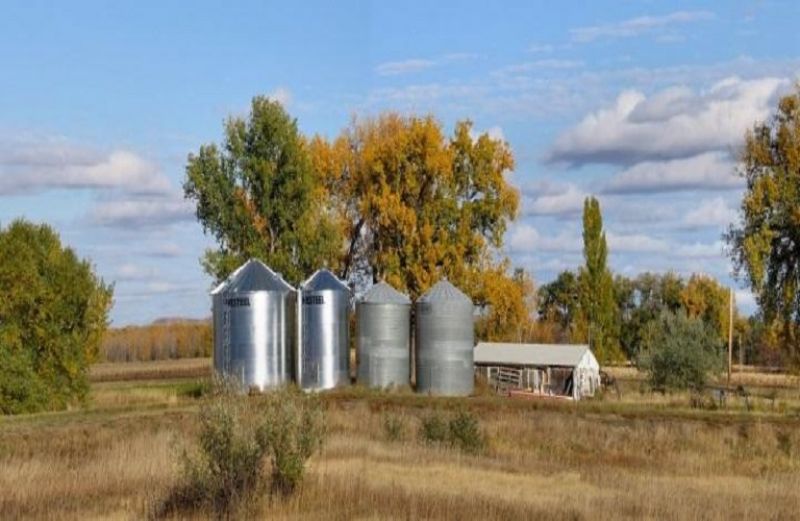 Μεταπτυχιακό Πρόγραμμα «Διοίκηση Επιχειρήσεων Τροφίμων ΜΒΑ»