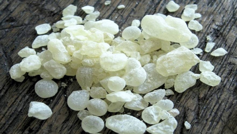 Παγκόσμια πιστοποίηση: Η Μαστίχα Χίου αναγνωρίστηκε ως φυσικό φάρμακο