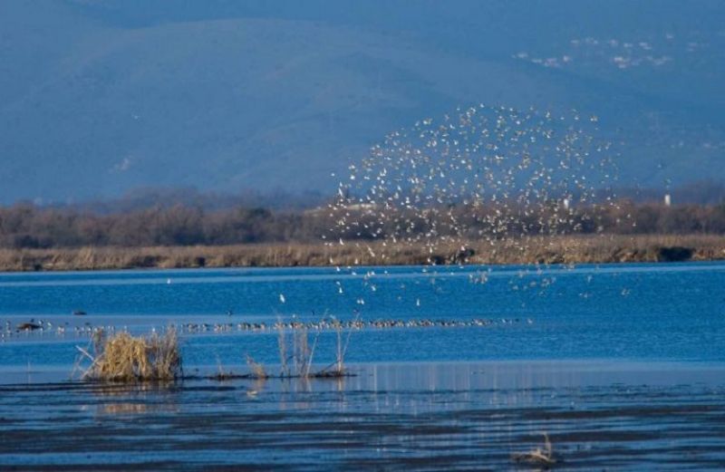 Παγκόσμια Ημέρα Υγροτόπων 2020