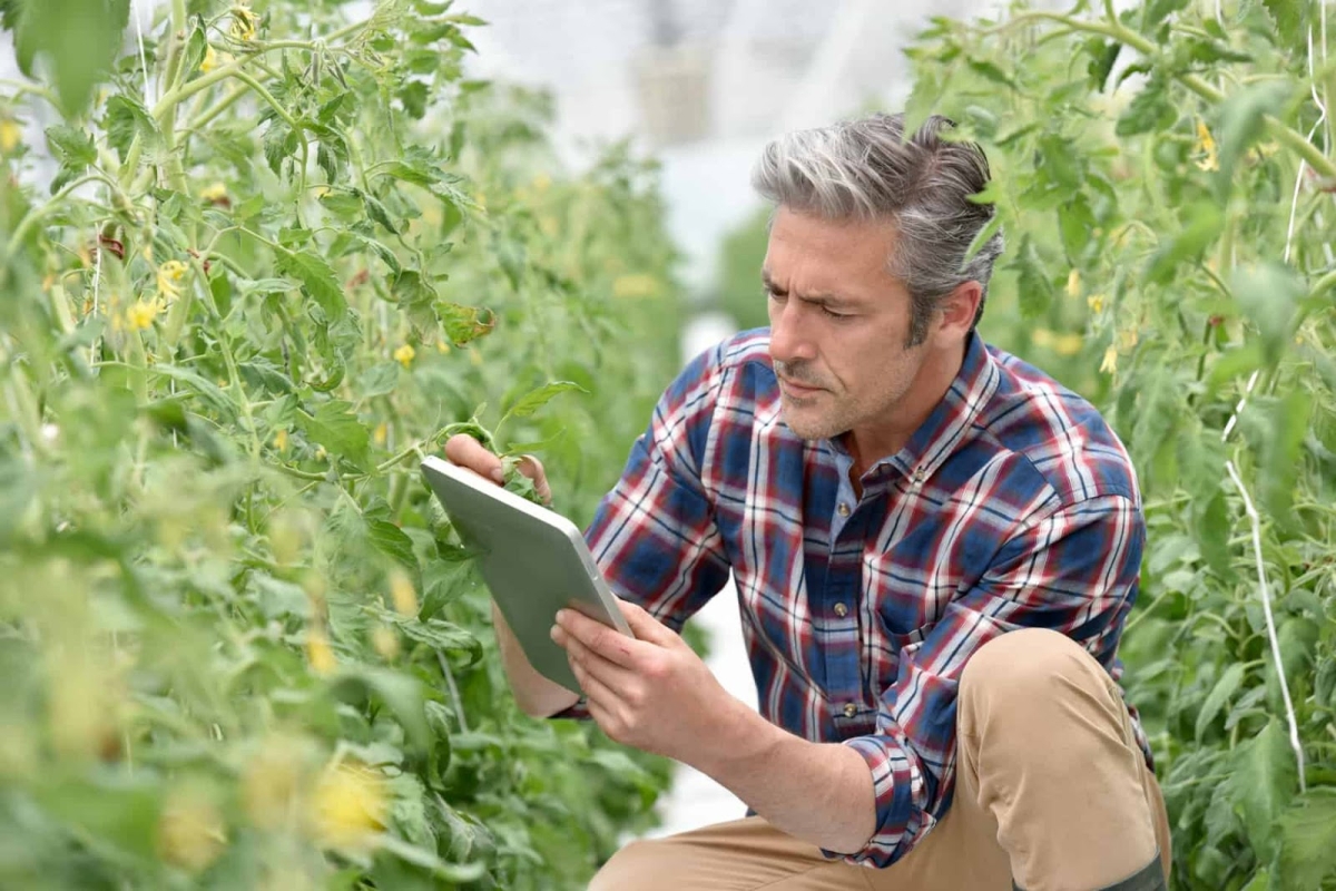 Θέση εργασίας για συνεργάτη Γεωπόνο ΤΕ ή ΠΕ στον Οργανισμό ΔΗΩ στη Δυτική Ελλάδα