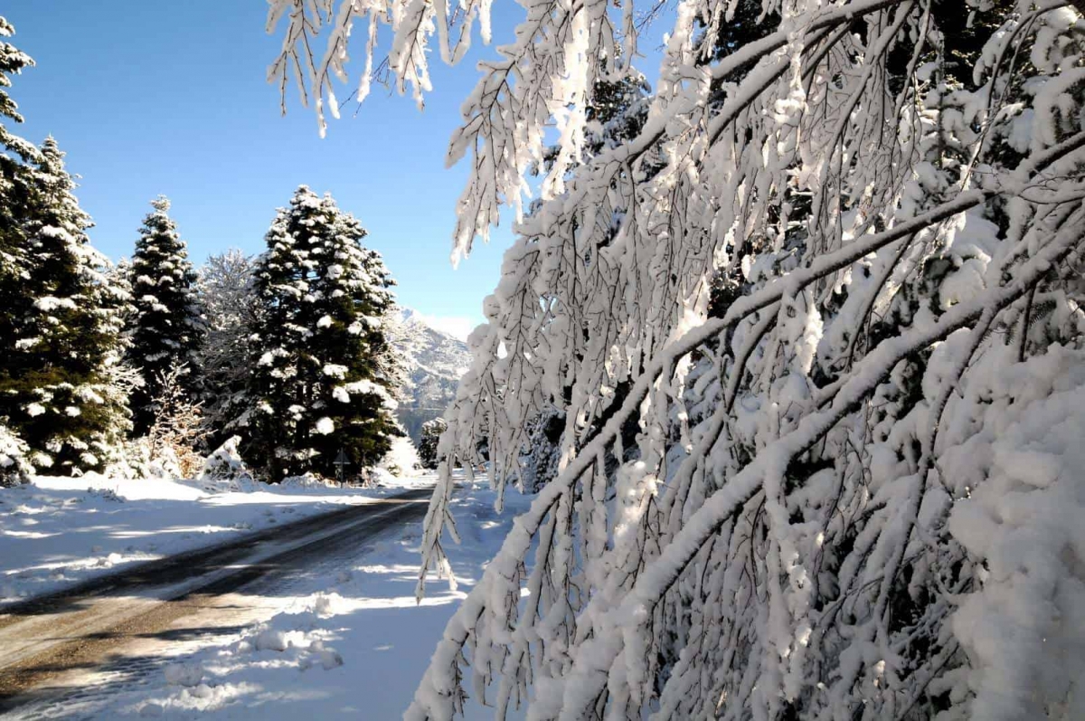«Καλλιτεχνίες» του χιονιού και του πάγου (φωτο)