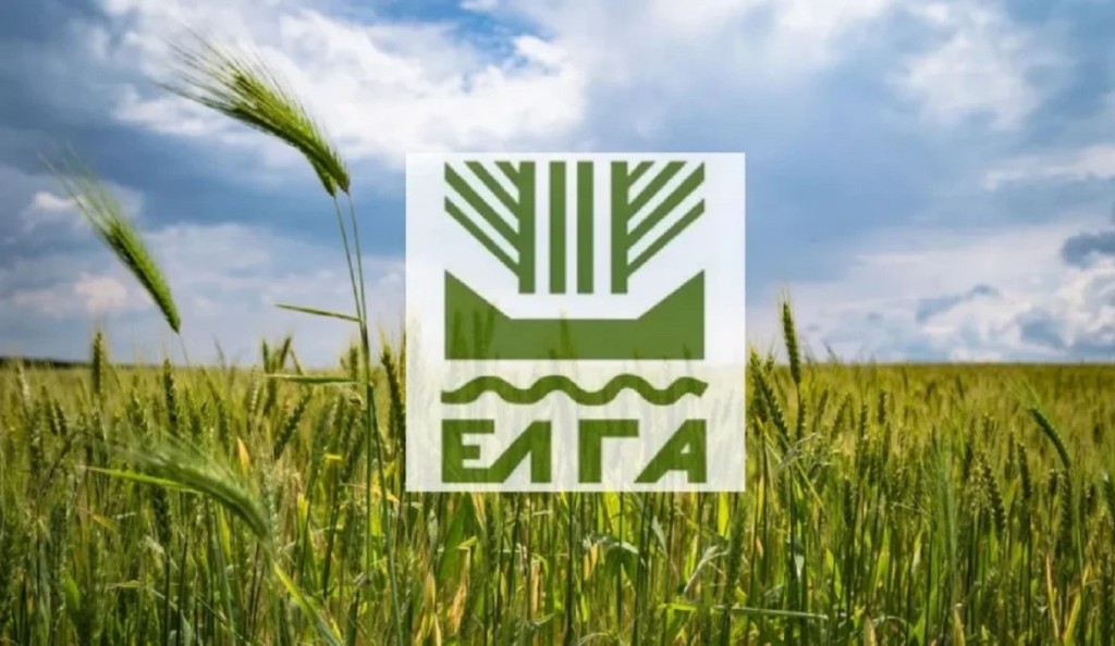 ΕΛΓΑ: Καταγραφές ζημιών στις περιοχές που επλήγησαν απο Χαλάζι