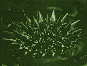 10 Νέα Θαυματουργά Υλικά