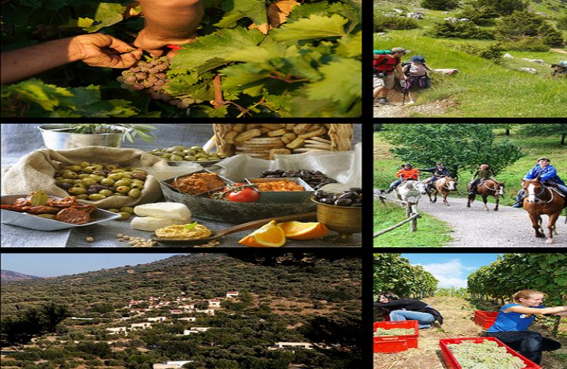 Όροι και προϋποθέσεις χορήγησης Ειδικού Σήματος Αγροτουρισμού