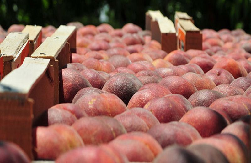 Αύξηση 13,6% στις εξαγωγές το α’ τρίμηνο – Νέα μείωση του εμπορικού ελλείμματος
