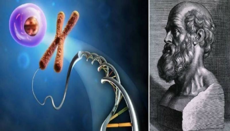 Γιατί νοσούμε κατά τον Ιπποκράτη - Όλα ξεκινούν από την ψυχή