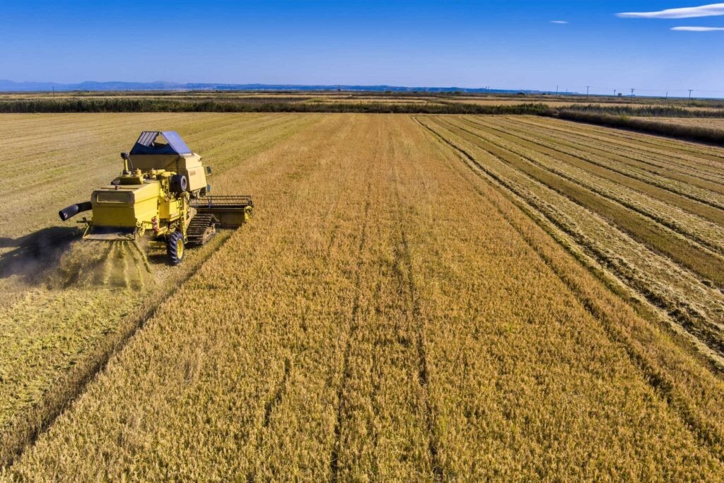 Σενάριο προκαταβολής eco-schemes μαζί με τη βασική εξετάζει ο ΟΠΕΚΕΠΕ