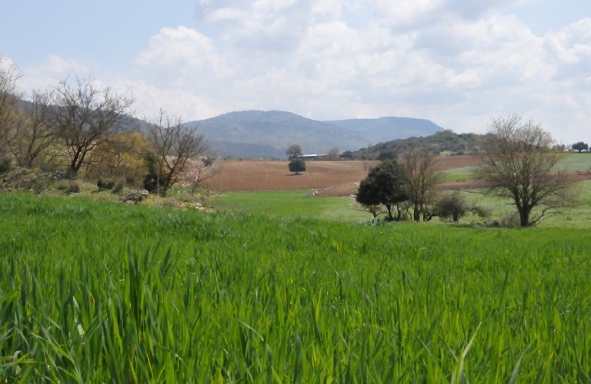 Μεταβίβαση Δικαιωμάτων 2023: ενεργοποιήθηκε η εφαρμογή