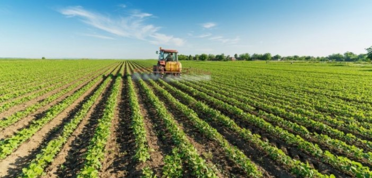 Ανεπαρκής και καταστροφική η πολιτική στον αγροτικό κόσμο