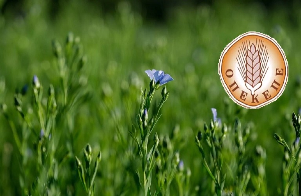 Ανακοίνωση σχετικά με τη λειτουργία της Ενιαίας Αίτησης Ενίσχυσης