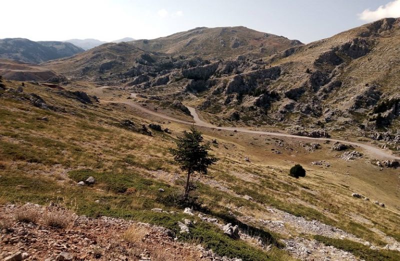 788.893,22 € σε 271 δικαιούχους