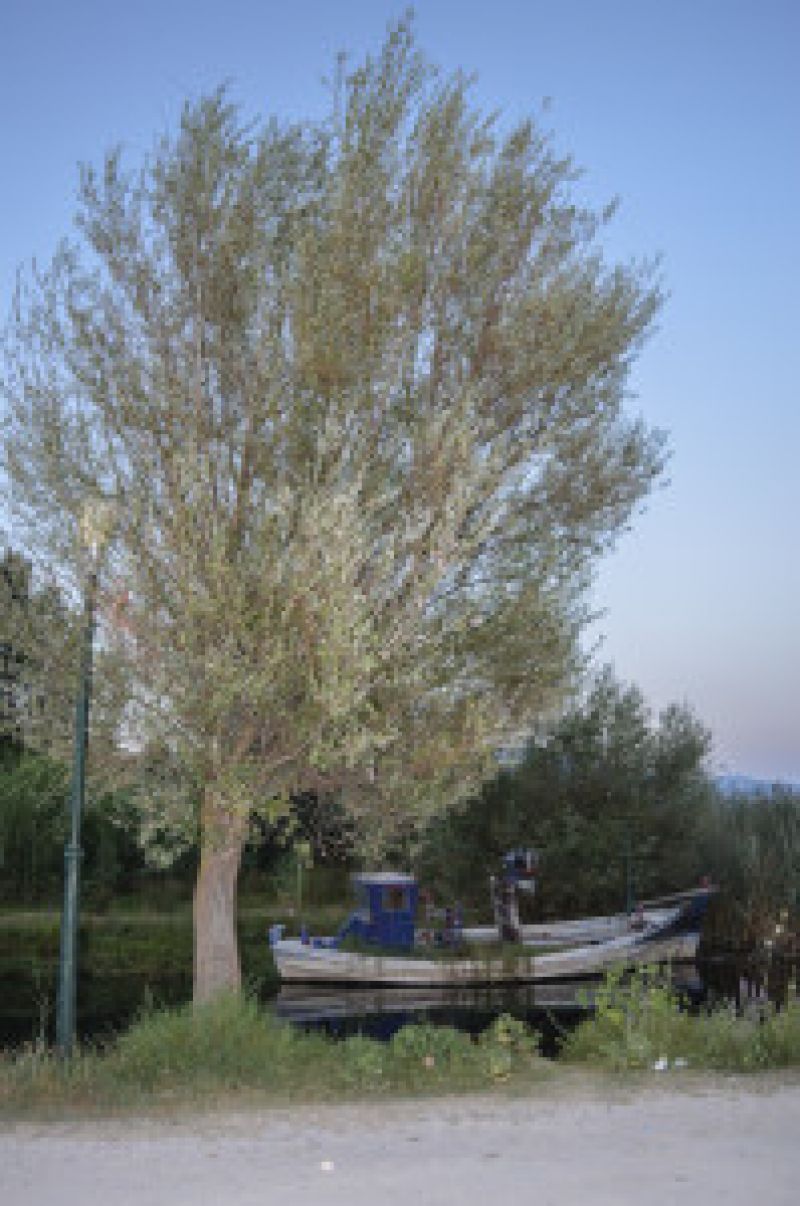 Aφήγηση στα Αμπάρια Παναιτωλίου (20/8/2016)