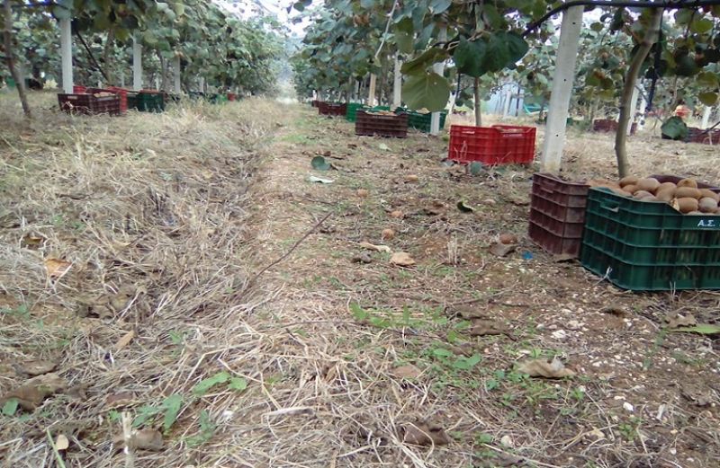 Σε τροχιά ανάπτυξης οι ελληνικές εξαγωγές