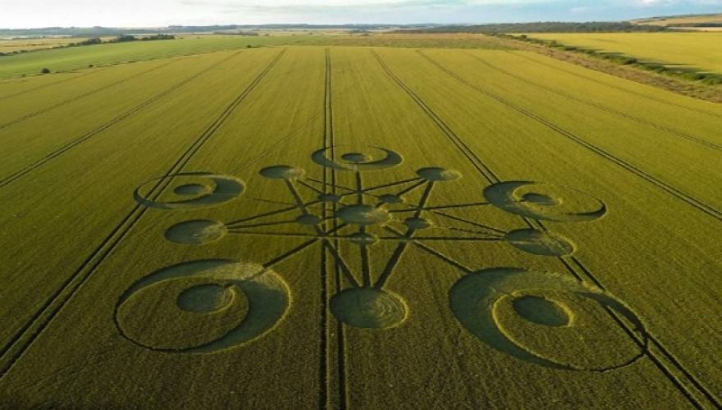 Τα καλύτερα αγρογλυφικά του 2015 σε ένα εκπληκτικό βίντεο