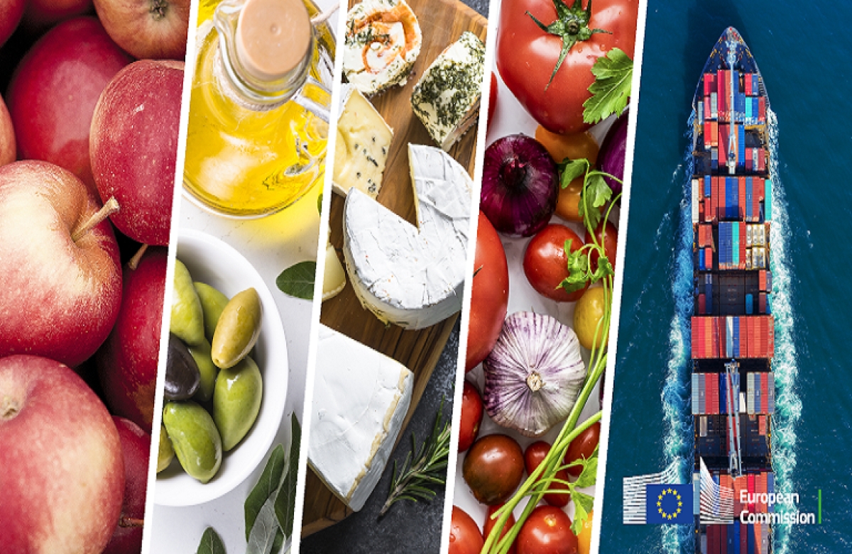 Δυναμικό ξεκίνημα για τις εξαγωγές το 2023