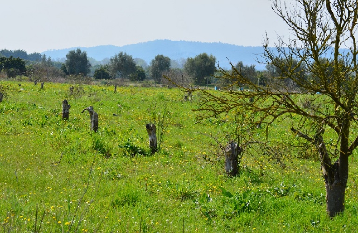 Όσα ισχύουν για την Οικολογική Εστίαση