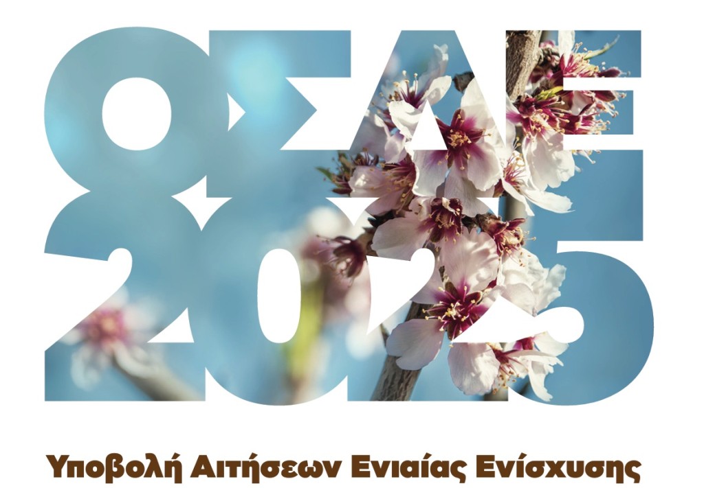 ΟΣΔΕ 2025: παράταση στην υποβολή δηλώσεων