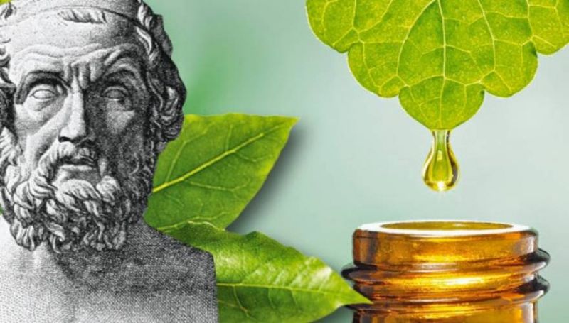 Φάρμακα από την Οδύσσεια του Ομήρου που ακόμα και σήμερα είναι θαυματουργά