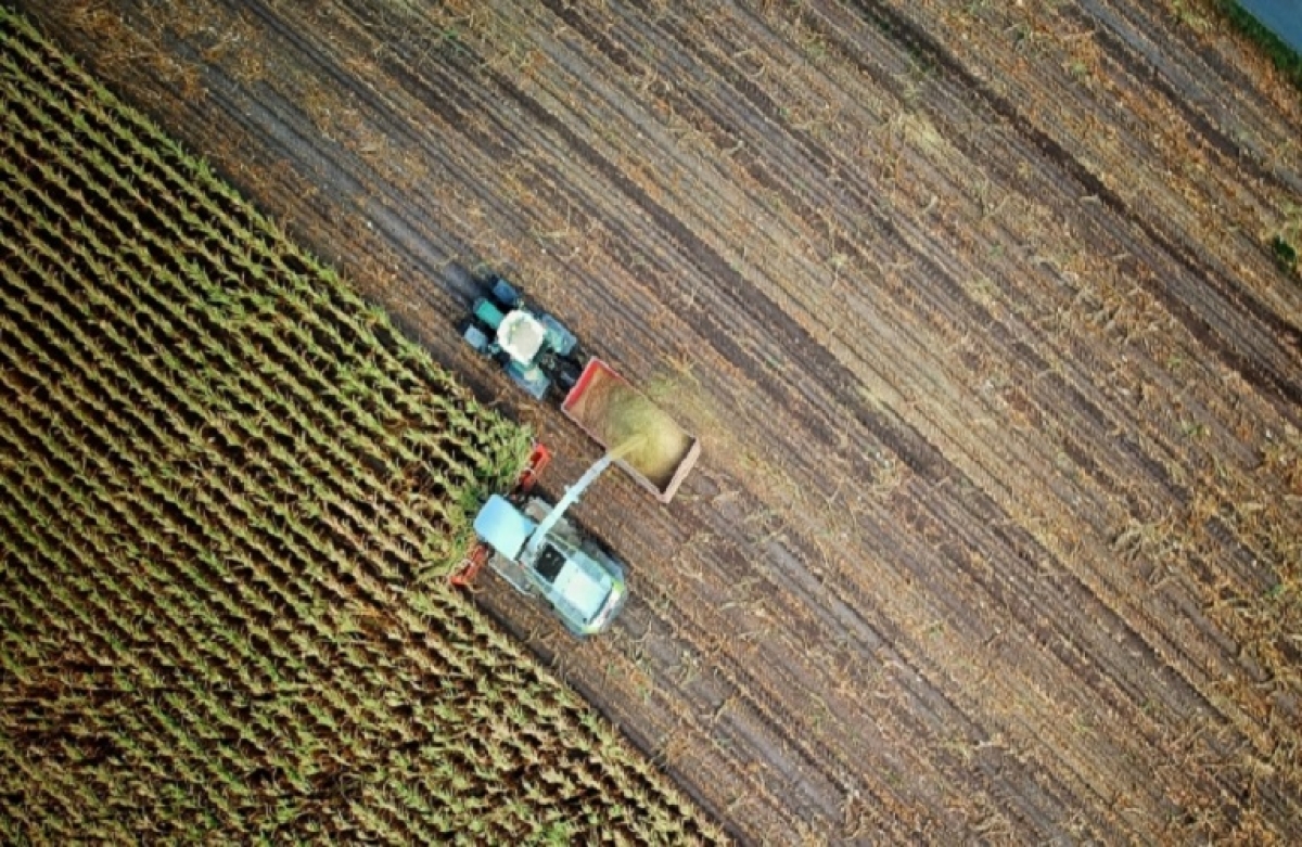 Η απάντηση της ΕΕ στην παγκόσμια επισιτιστική κρίση