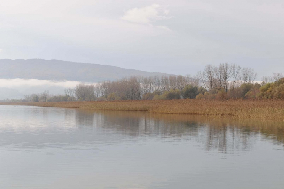 Πρωινές χειμερινές εικόνες από την Τριχωνίδα (φωτο-video)