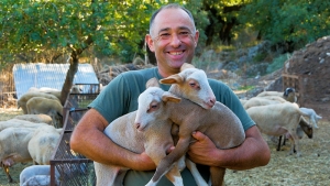 Ο Κώστας και το κοπάδι του | Η ζωή ενός κτηνοτρόφου (βίντεο)
