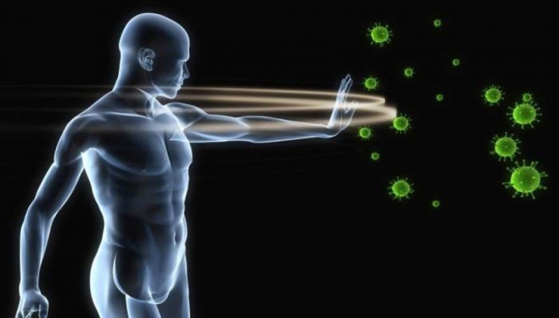 Με ποιες τροφές μπορείτε να ενισχύσετε το ανοσοποιητικό σας σύστημα