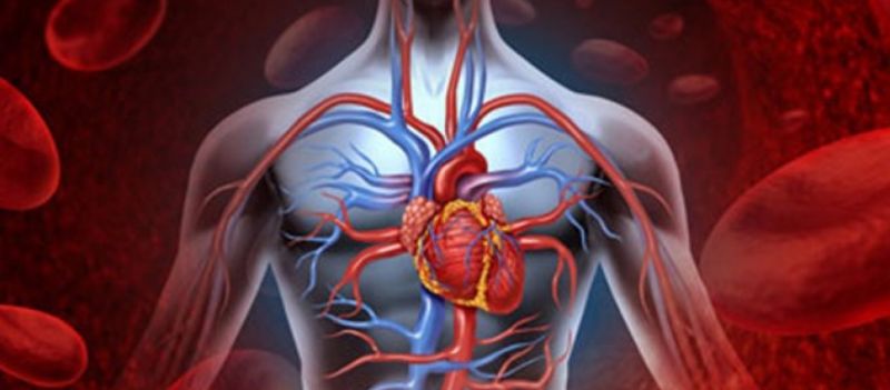 Αλήθειες για το σώμα σας που δεν γνωρίζατε