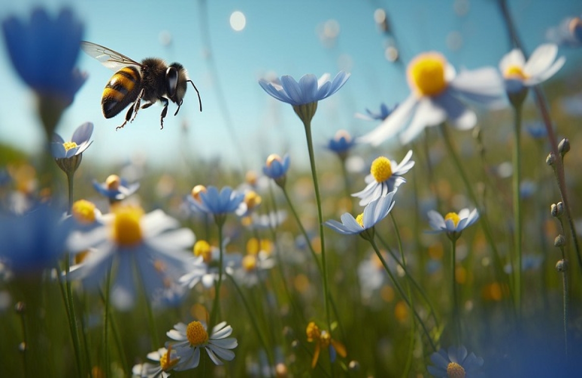 Φυτά και ζώα που κινδυνεύουν με εξαφάνιση