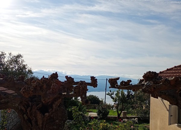 Μια ηλιόλουστη βόλτα στο μπαλκόνι της Τριχωνίδας!